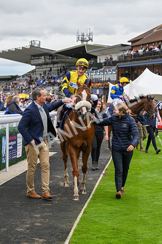 150824-Race 6-Captain Corelli-8693 - Race 6