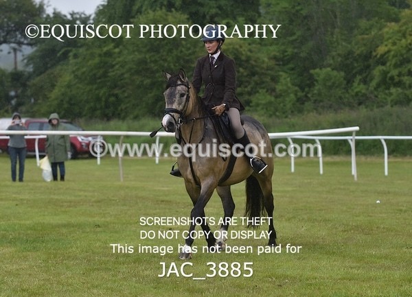 JAC_3885 - 55cm WORKING HUNTER