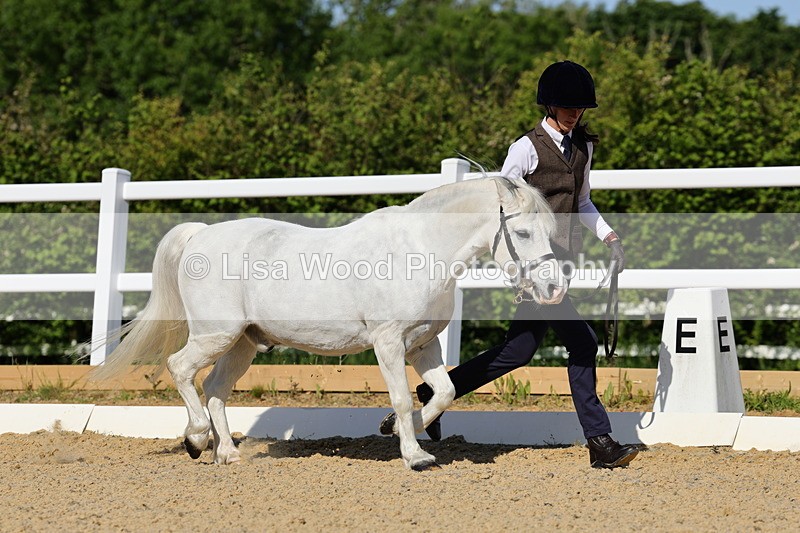 1X9A0538 - Class 2: M & M $ years and over