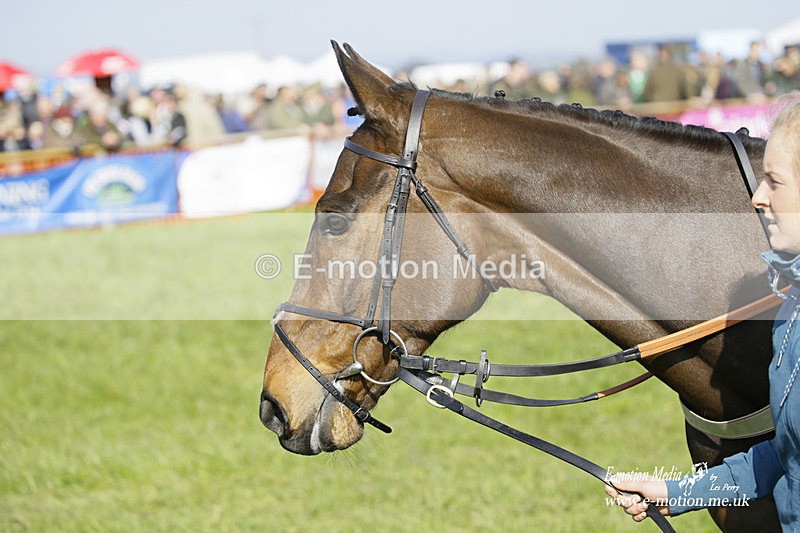 PtP 200322 267 - Mendip Farmers Point-to-Point 20/03/22