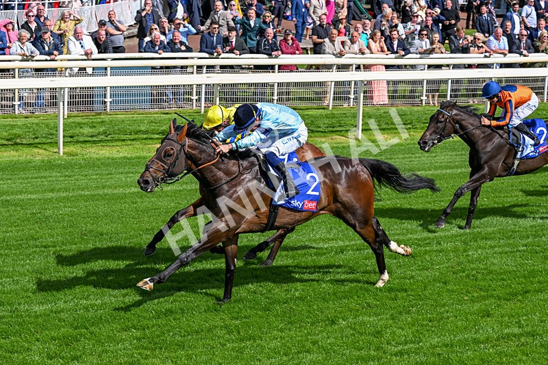 120626-Race 5-Antipodes-0304 - Race 5 16.10pm Sky Bet The World's Gone Football Handicap