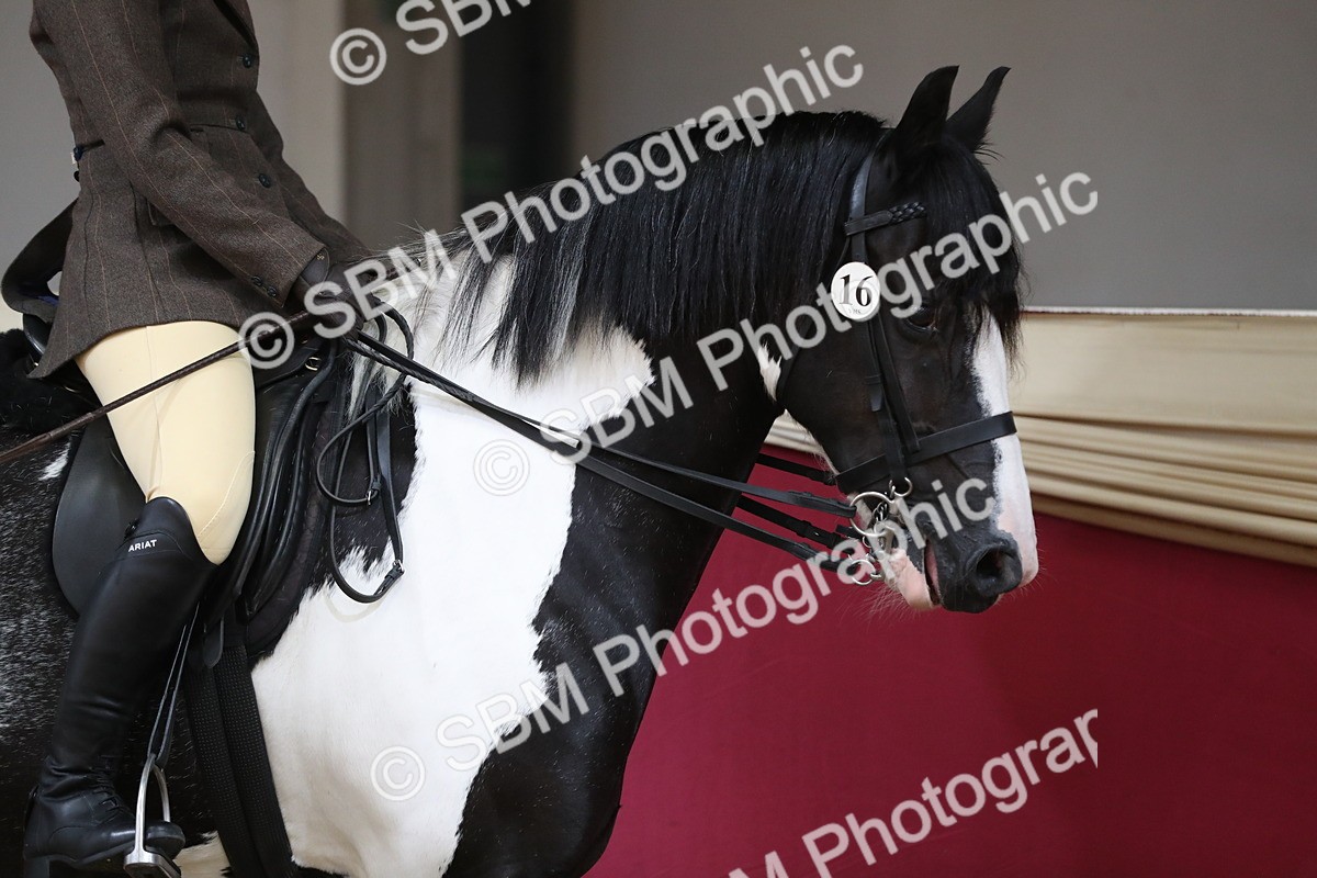 SBM_02837 - Class 6a Area Ridden Pre Vet