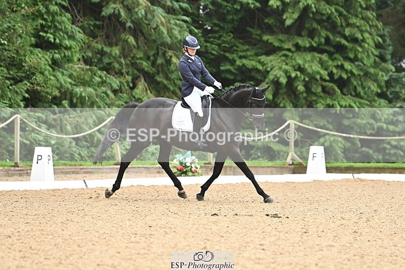 240811-100051-04653 - 117-Katie.Kneen-Springtime.Everafter