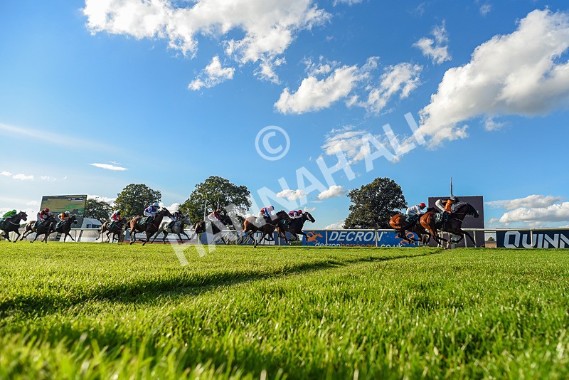 140926-Race 7-Forest Caper-2-3 - Race 7 5.21pm Bowel Cancer Screening Programme Saves Lives Handicap