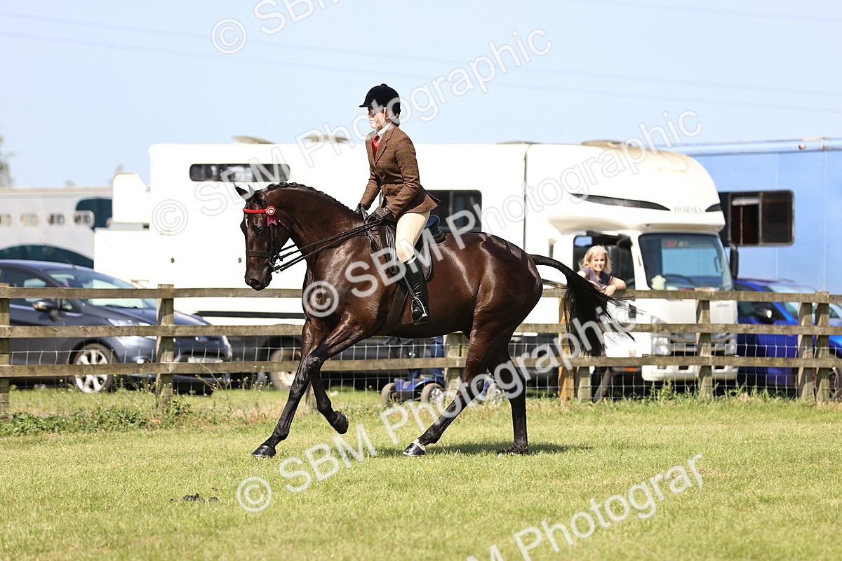 SBM_13000 - Class 75-76 LIHS BSHA Rising Star Hack Riding Horse