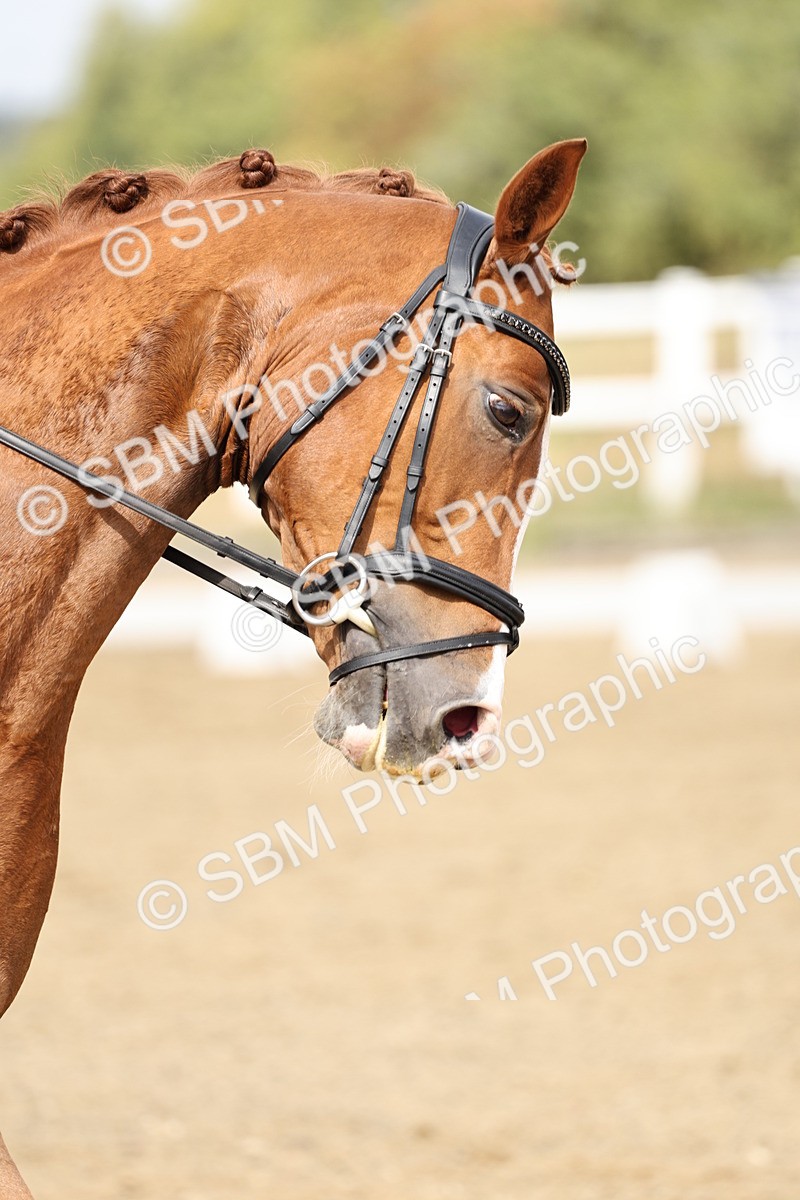 SBM_018339 - Class 16 - Novice 5 - 11.12-12.01