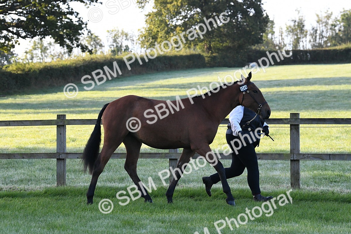 SBM_32562 - S15 - Condition & Turnout In Hand