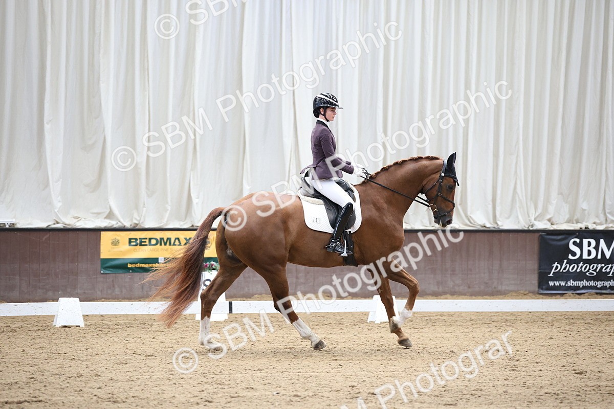SBM_002812 - Class 5 - Novice 6 Gold - 10.24-11.30