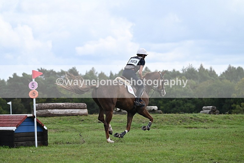 WJ7_1597 - Time 12:34 to 13:16