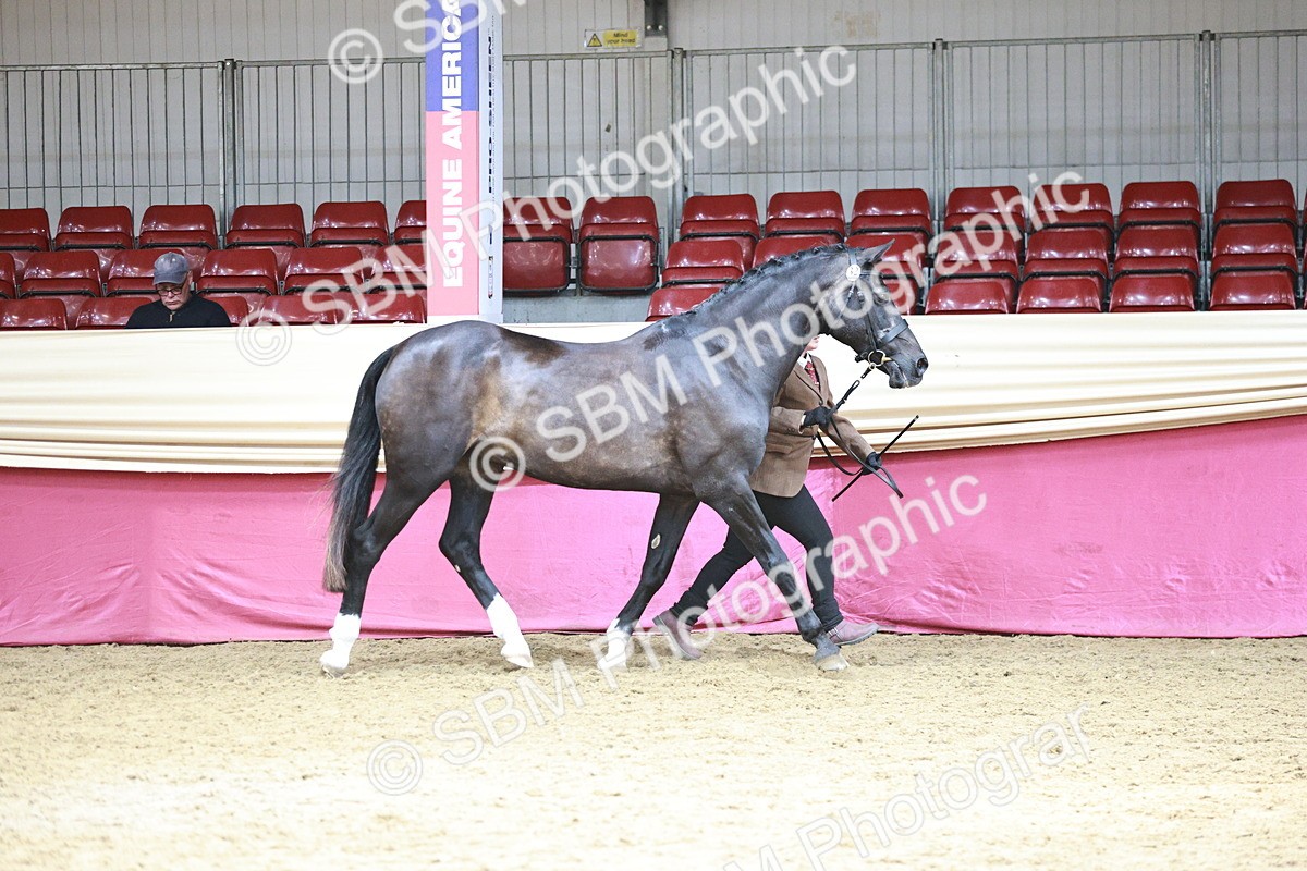 SBM_04684 - Class 7R - Regional IH Diamond