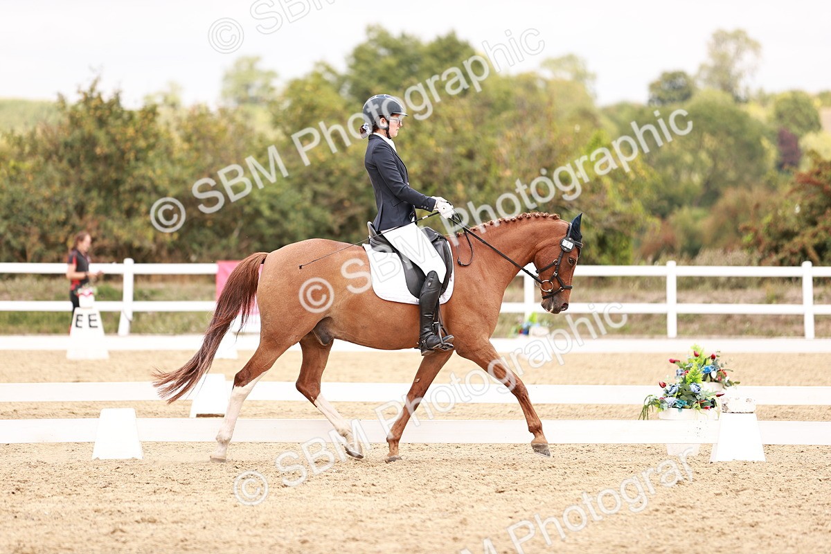 SBM_019293 - Class 20 - Medium 5