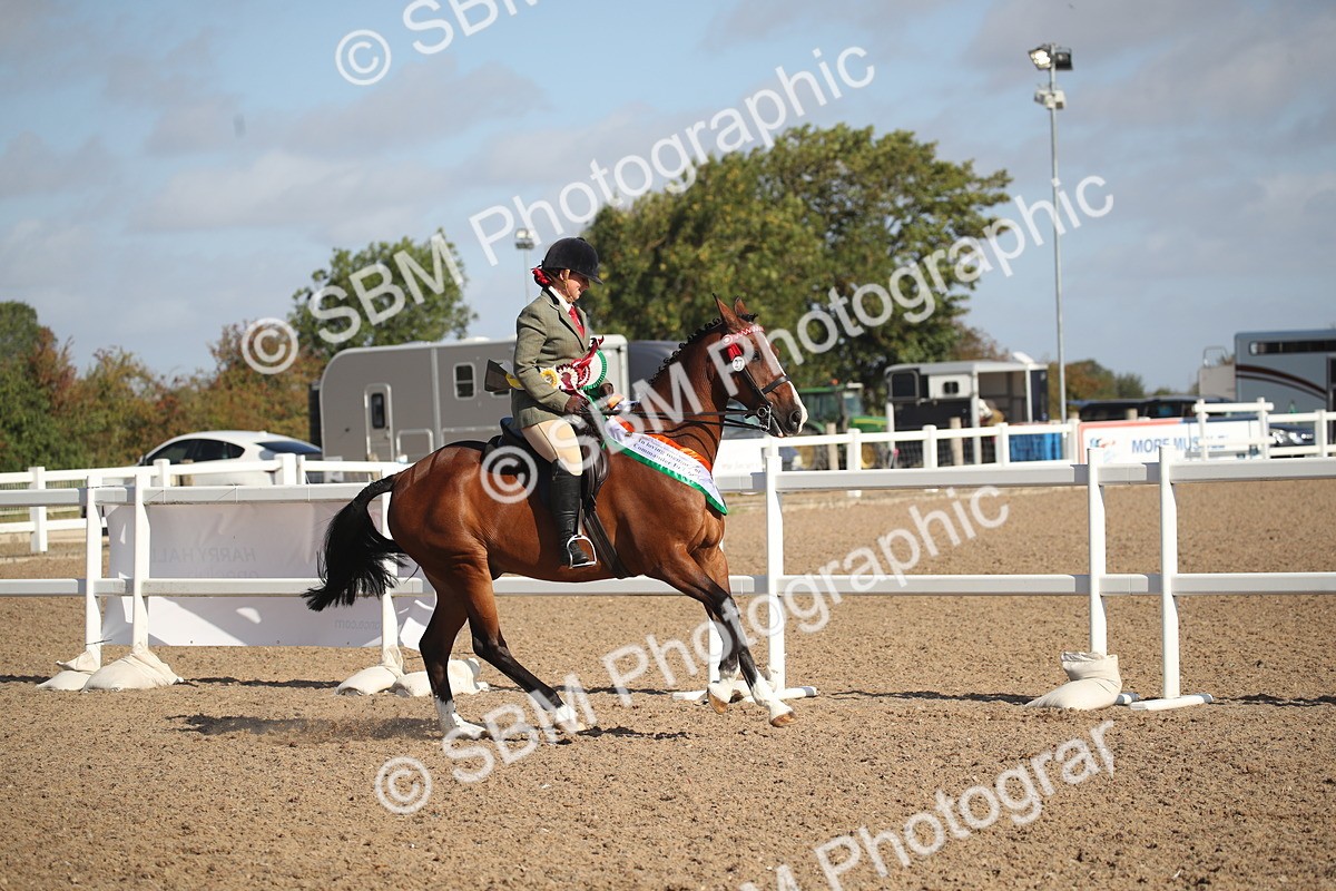 SBM_22749 - Class 601 - 2026 - Area - Ridden Diamond