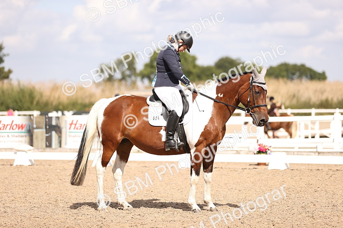 SBM_03732 - CLass 35 Intro 3