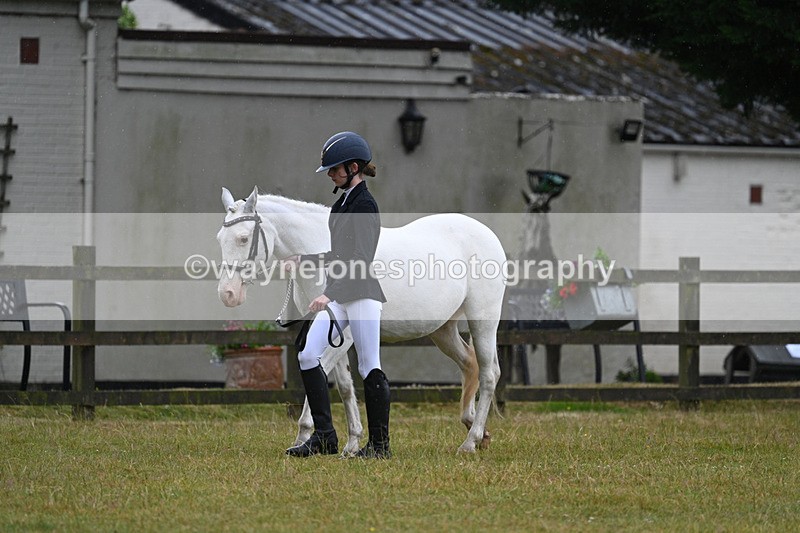 WJ7_5709 - Class 4 Prettiest Mare in Hand