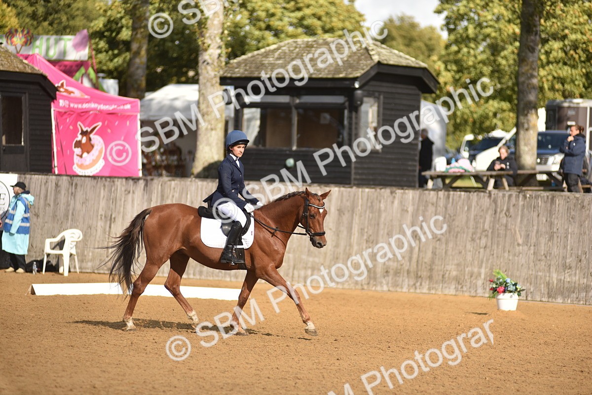 SBM_48912 - D22 - Junior Championship Intro 3