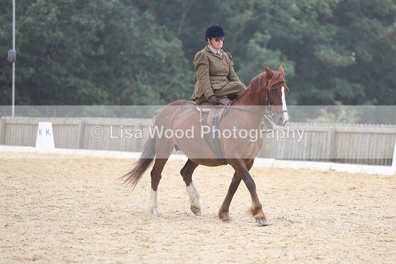 3E7A6851 - Class 5: Prelim to Music