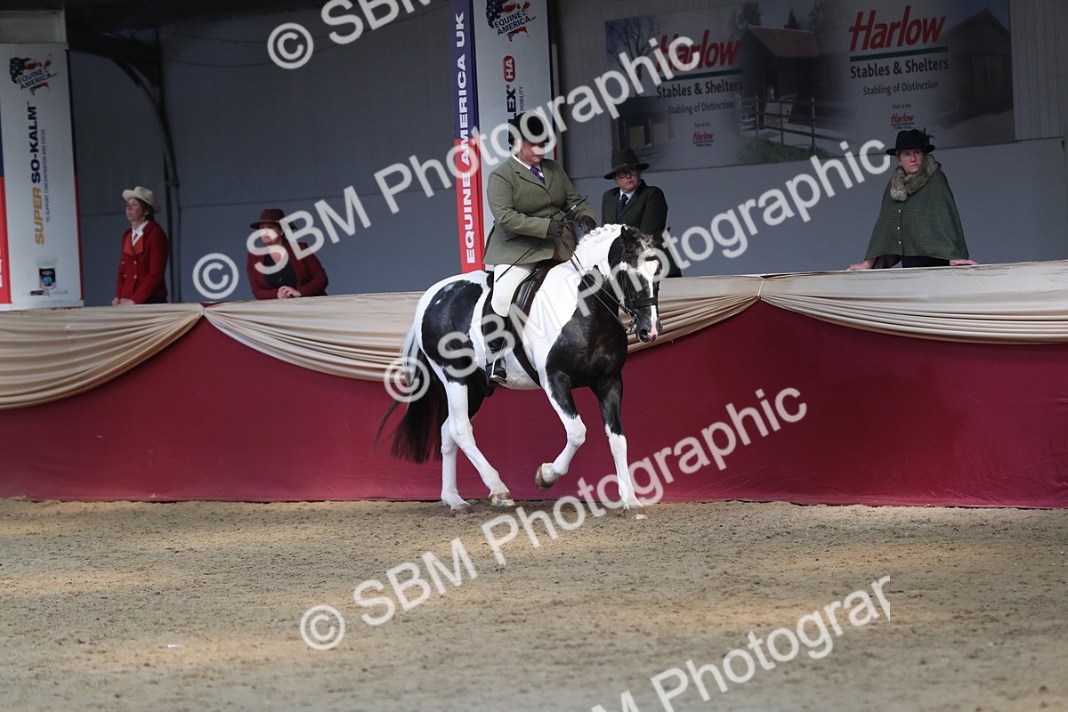 SBM_07198 - Class 10R Regional Ridden Diamond