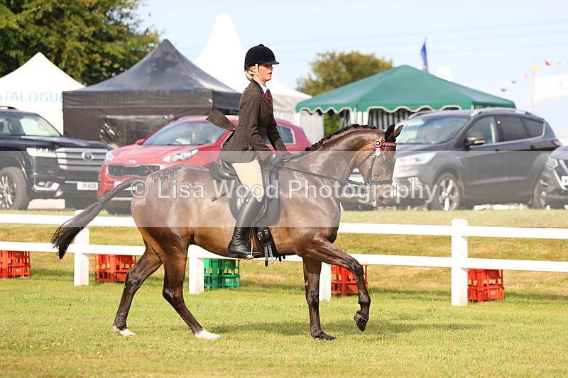 3E7A8035 - Class 2: Rising Star Large Hack/Riding Horse