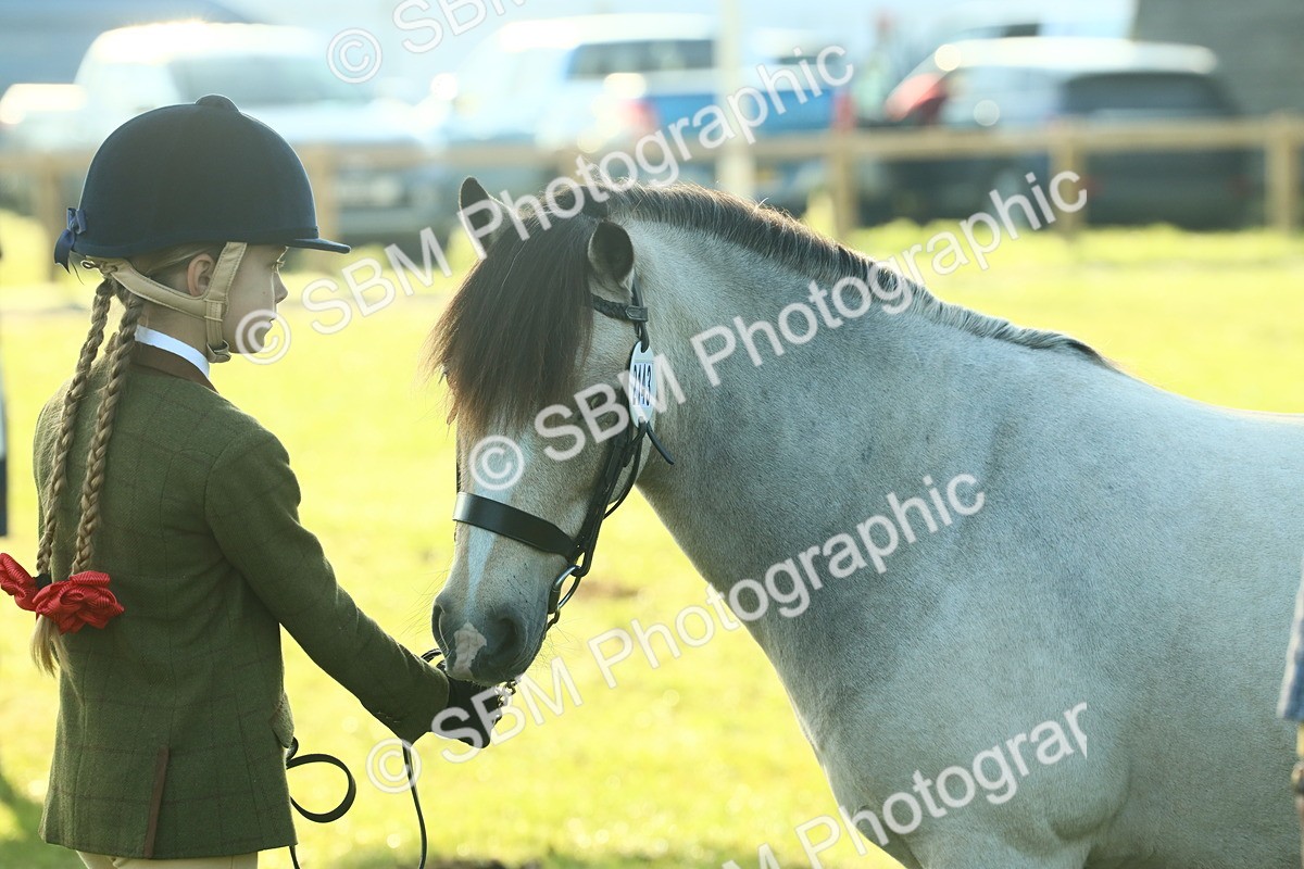 SBM_57479 - S37 - Starters In Hand Showing