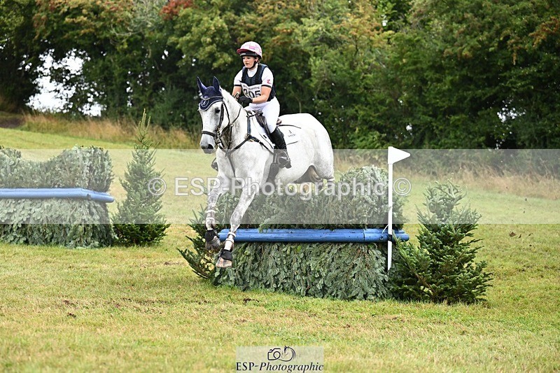 TS_b2000640 - SAT BE 90 Recovered Files fence 8