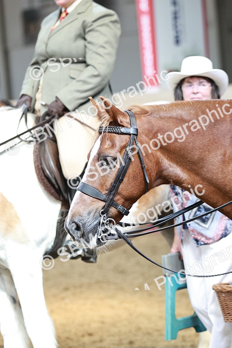 SBM_07054 - Class 10R - Regional Ridden Diamond