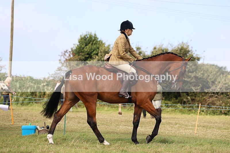 3E7A3891 - Class 4: Best Combination Open