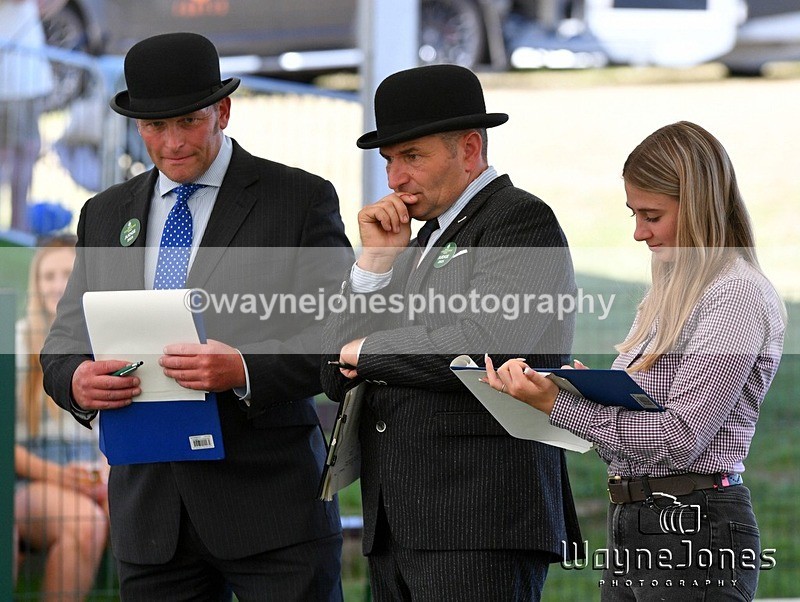 WJ5_1198 - Berks & Bucks at the Great Yorkshire Show 2025