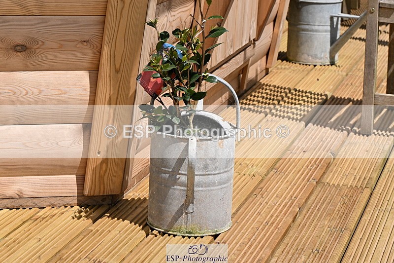 240608A-140425-02700 - Cls 4 Snr Newcomers and 1.10m Open