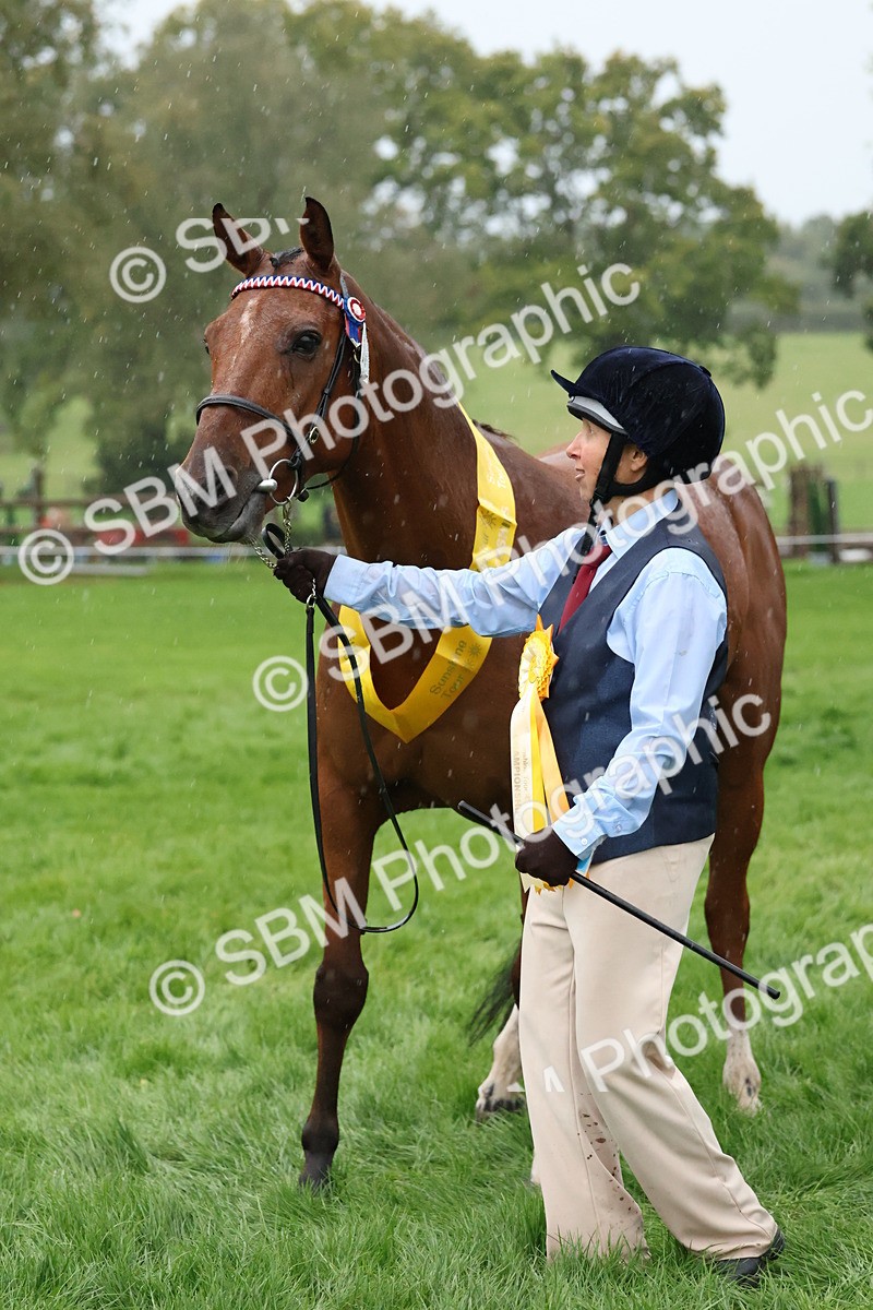 SBM_35362 - S10 - Best In Hand Horse & Pony