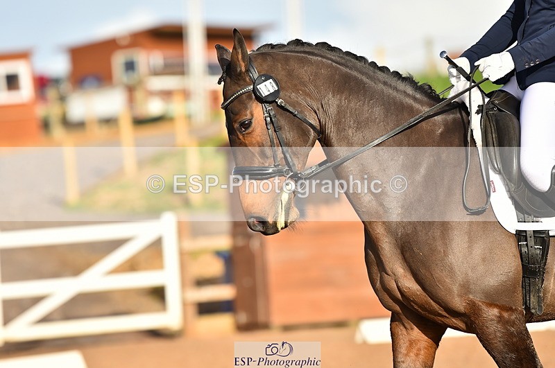 231104A-133820-01868 - Cls 10 Medium 61