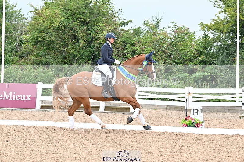 240815A-130933-01184 - Cls 1-P Adv Medium Bronze