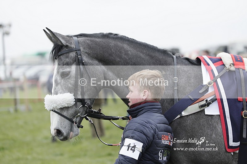 PtP 050323 232 - Blackmore & Sparkford Vale Hunt PtP - Somerset 05/03/23