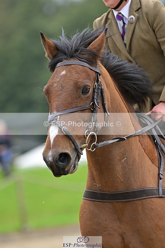 240929-125638-00810 - Cls 2 80-85cm 12.15 to End