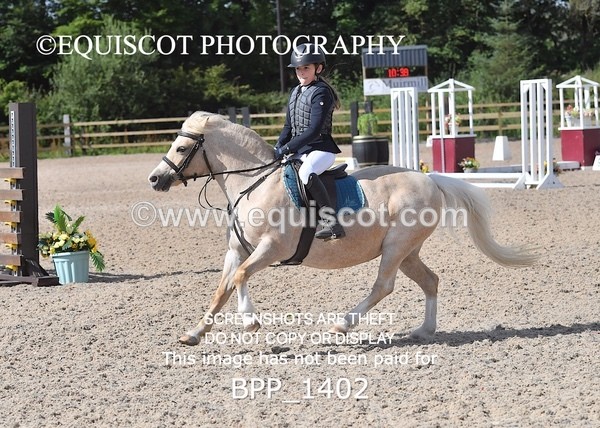 BPP_1402 - DERBY CLASS 2 - 30CM