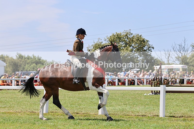 IMG_2835 - Veteran Championship