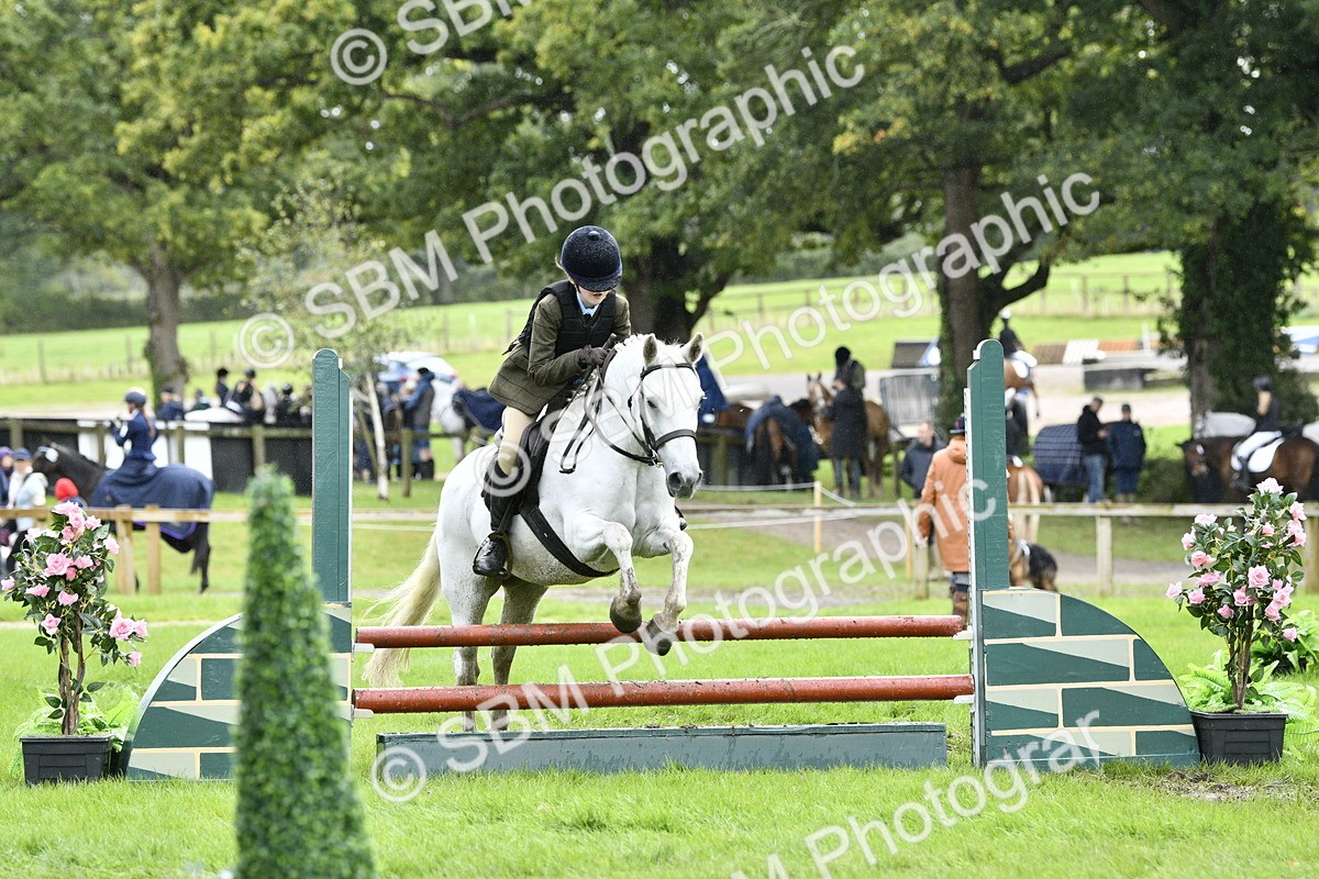 SBM_45587 - S33 - Working Hunter Pony