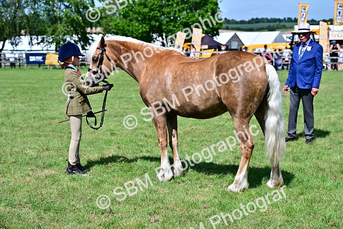 SBM_08076 - Class 61-62 - TSR  M&M Ridden Amateur of the Year