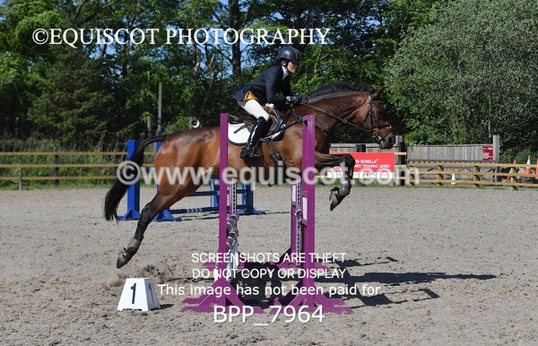 BPP_7964 - CLASS 2 Club/ Unaffiliated 80cms Open