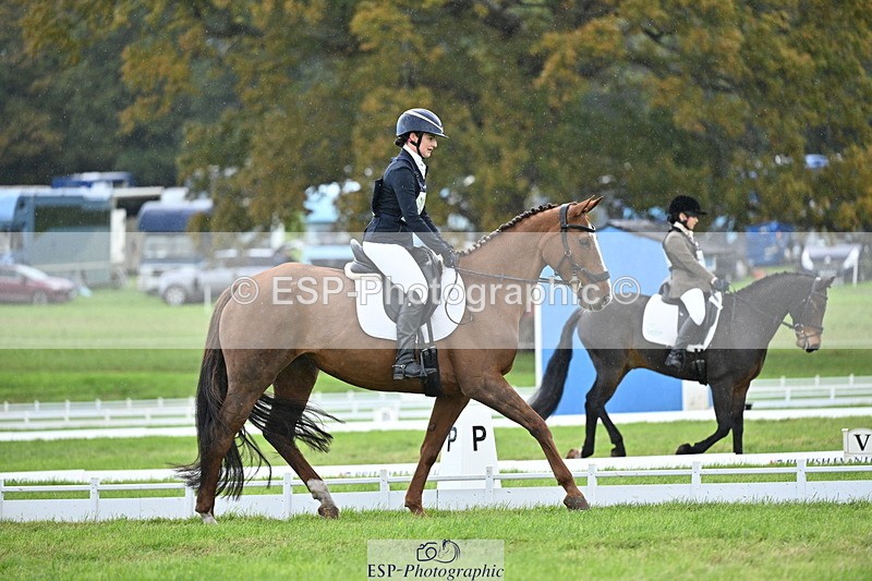 251024A-140456-12321 - D-368-Emma.Pine
