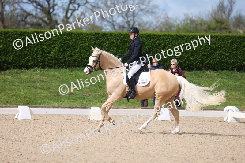 20260405-0215 - Class 3 - Novice 5