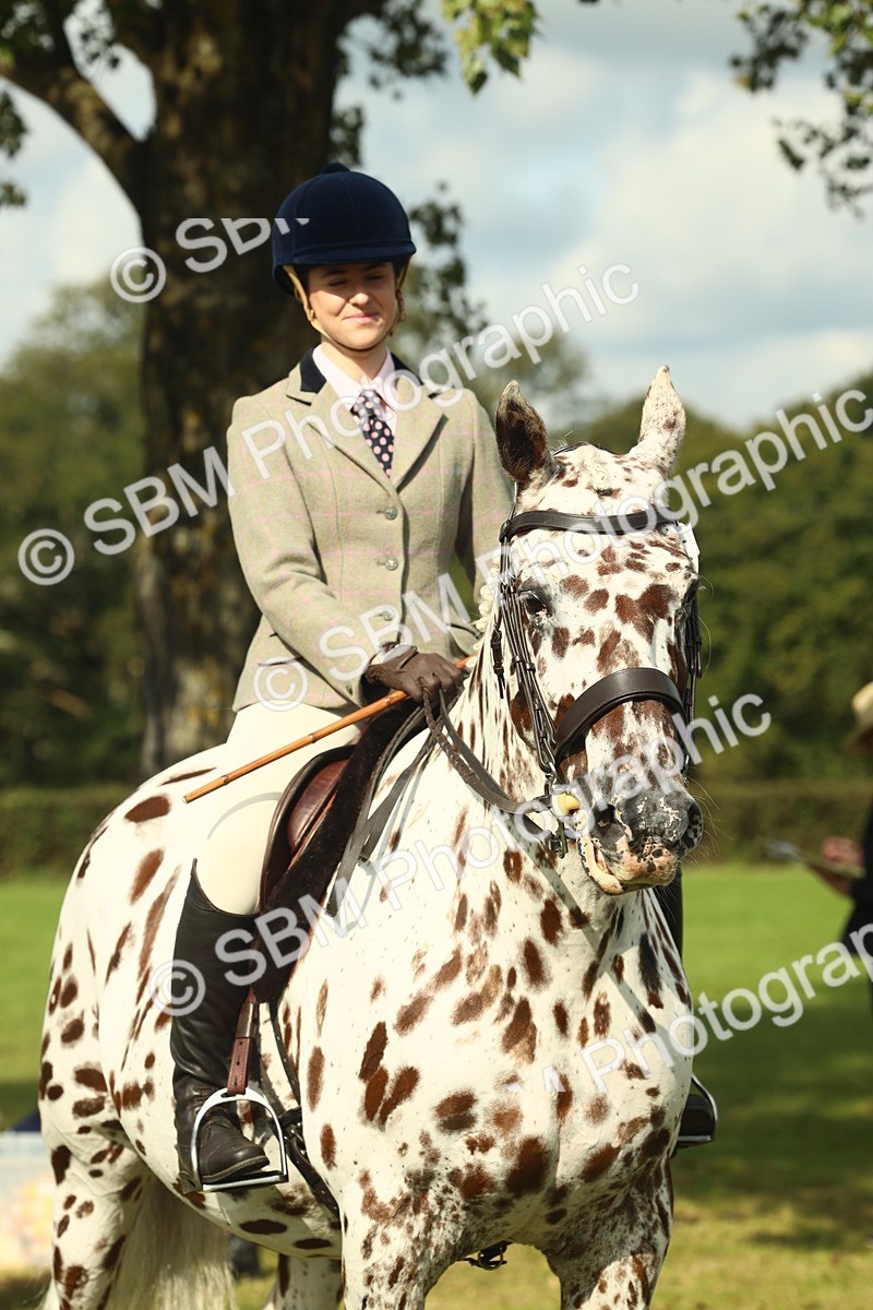 SBM_62514 - S62 - Foreign Breeds Ridden