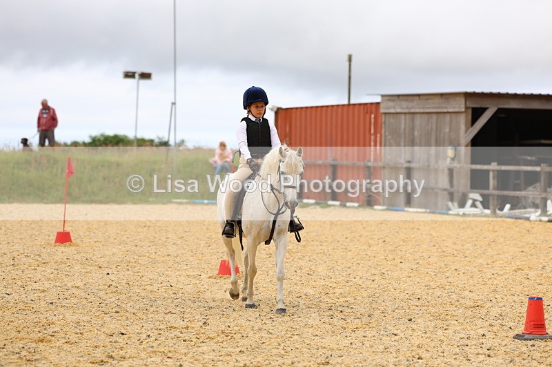 3E7A9604 - Walk trot run