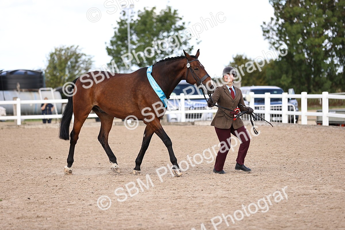 SBM_10495 - Class 406 - IH Hunter