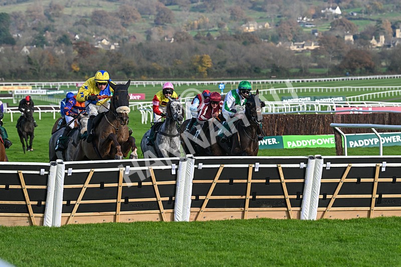 151124-Race 1-Double Powerful-7269 - Race 1