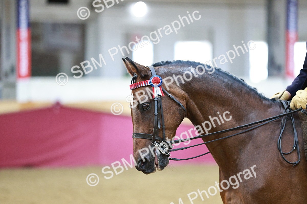 SBM_08260 - Class 11R - Regional Ridden Veteran