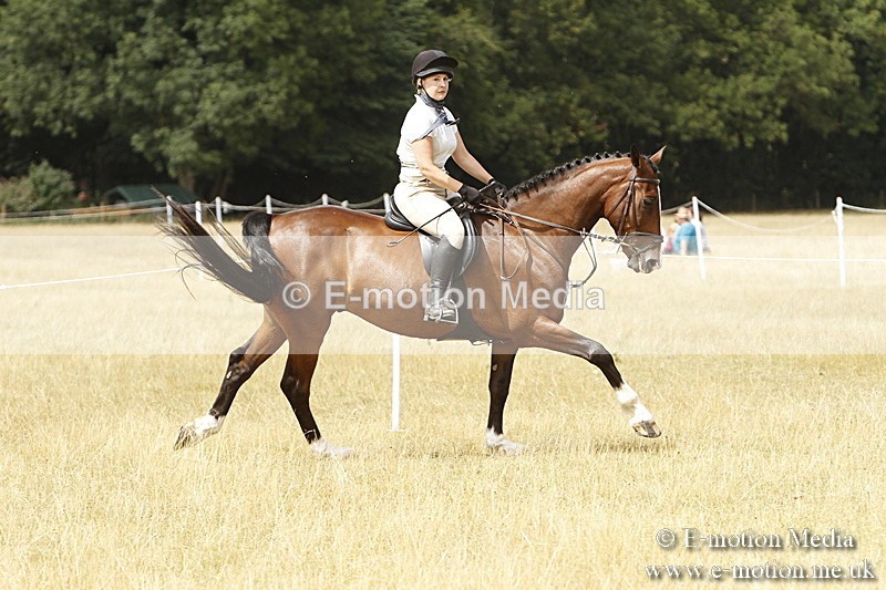 _BS_1000 - Working Hunter Championship BVRC Show 2018