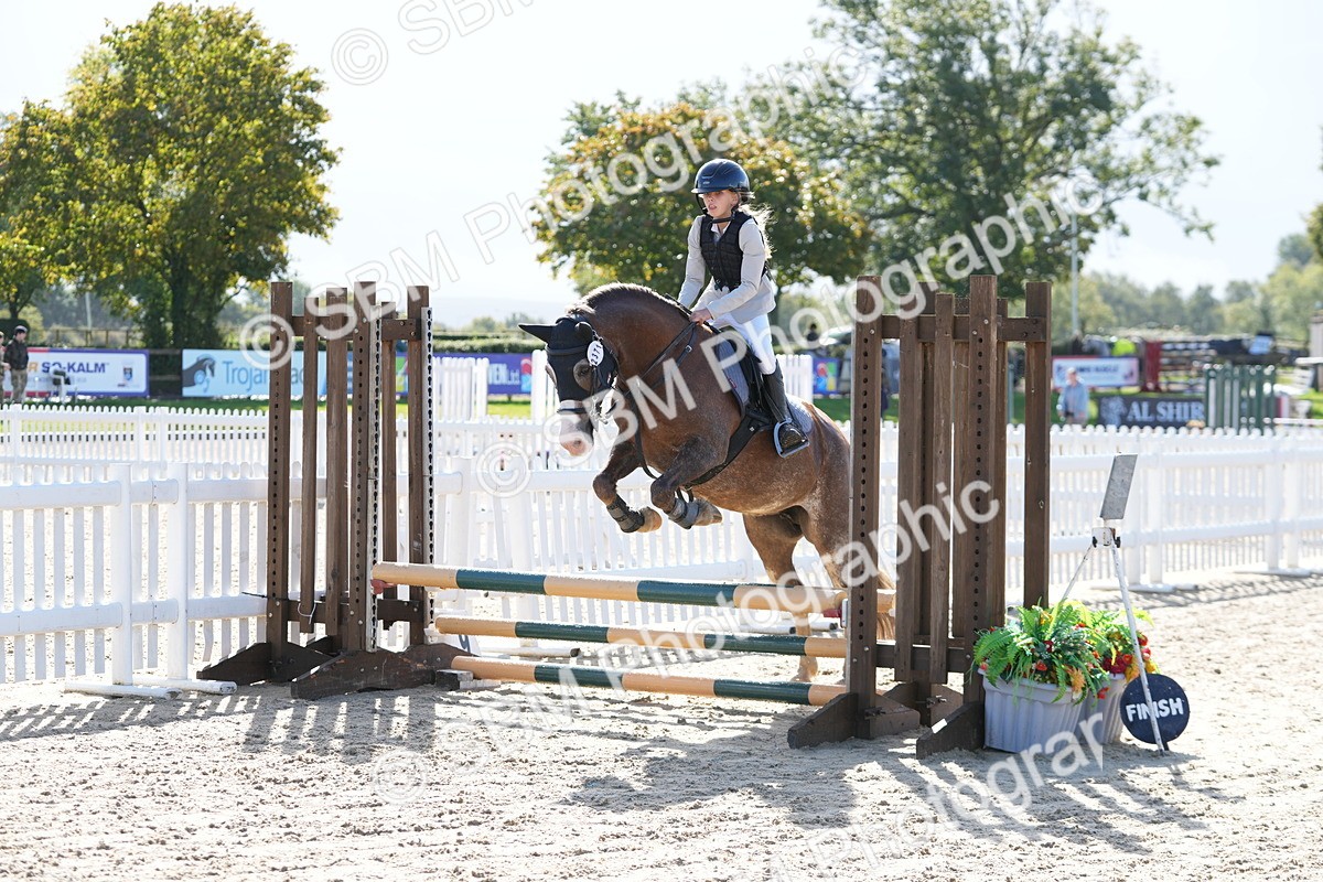 SBM_38289 - J6 - Junior Pony 55cm Championship
