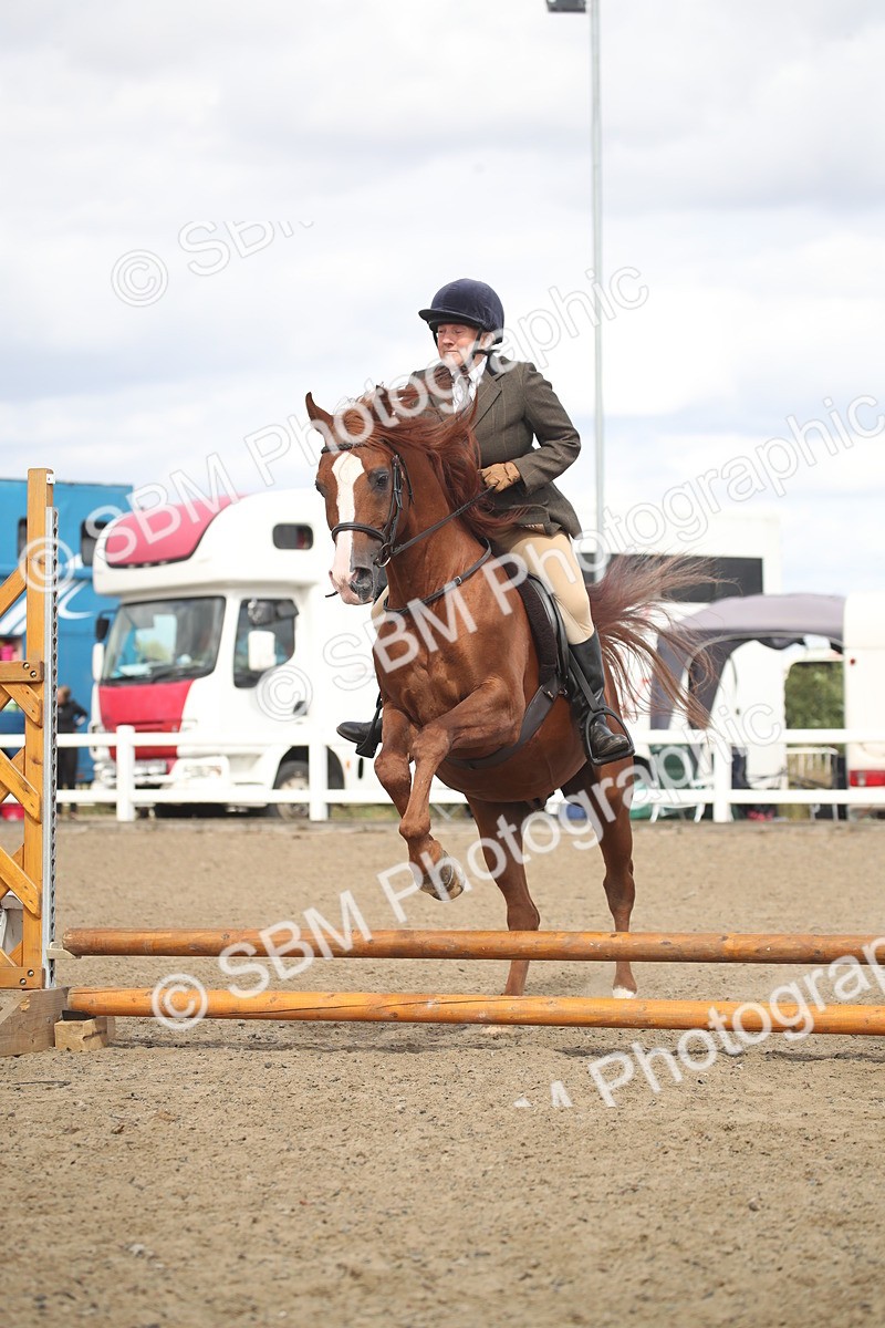 SBM_15276 - Class 506b - Working Veteran - 50cm (20+)