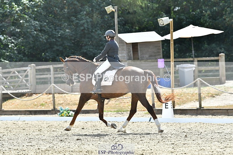 260802A-152211-07382 - Intermediate Bronze