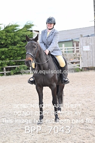BPP_7043 - RING 1  (RIDDEN HORSES / IN HAND / VETERAN ETC)